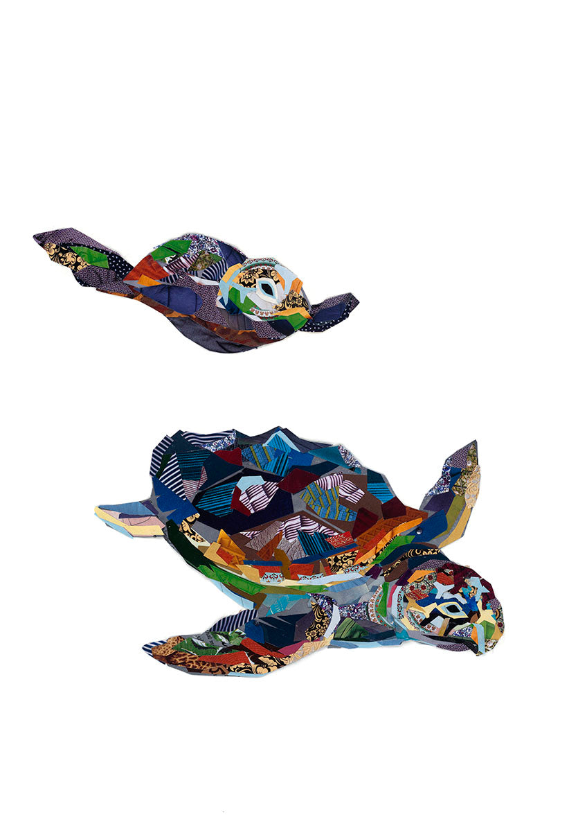 seaturtles